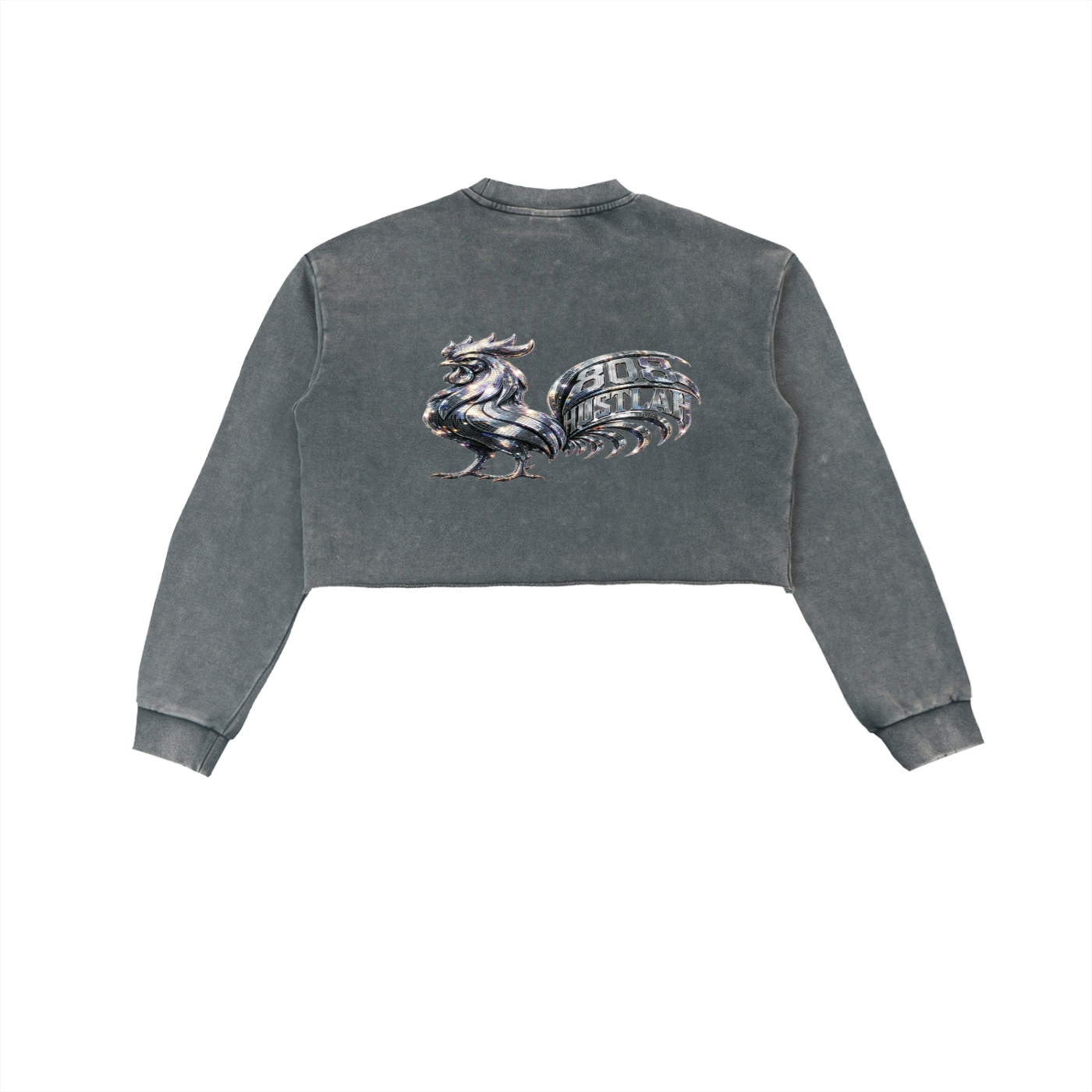 Snow Washed Raw Edge Cropped Sweatshirt